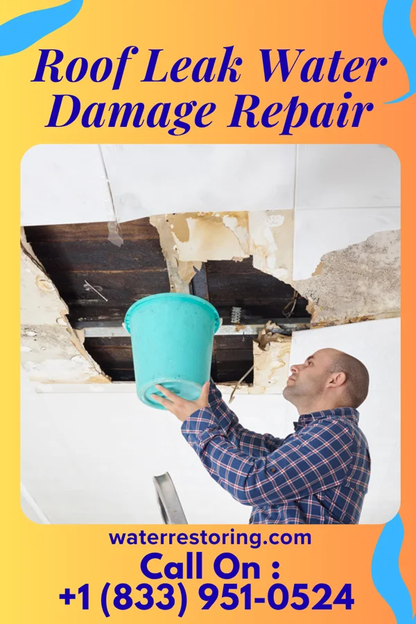 Roof Leak Water Damage Repair in Tatum, TX